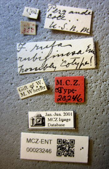 Media type: image;   Entomology 23246 Aspect: lbsa